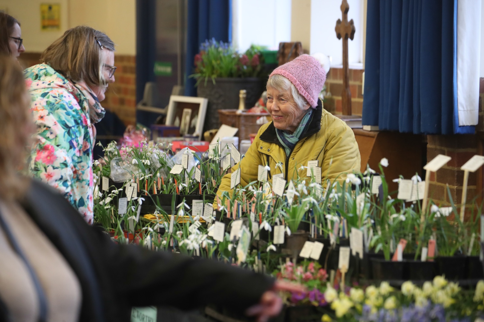 Shepton Mallet Snowdrop Festival